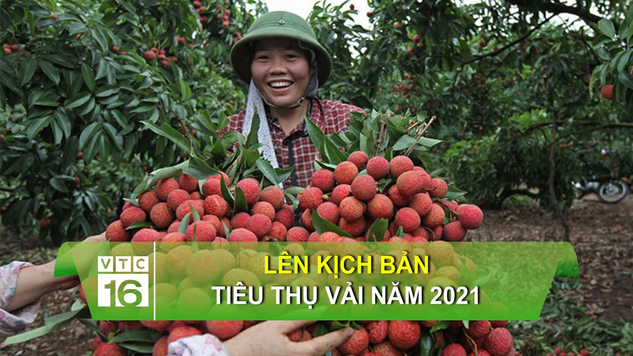 Chủ nhà cướp trắng mồ hôi nước mắt khi đòi mặt bằng, bán món tôi xây thương hiệu