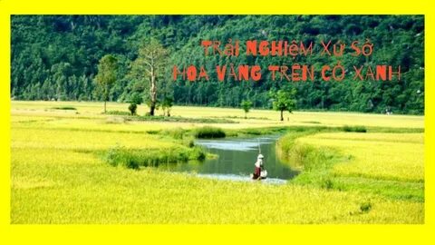 Mẹ Bỉm Sữa Ở Đà Nẵng Kiếm Tiền Từ Video Với Hotspot Matrix