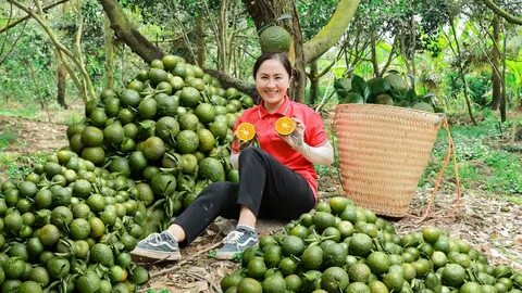 CLB Công an Hà Nội ra giá bao nhiêu cho Nguyễn Filip?