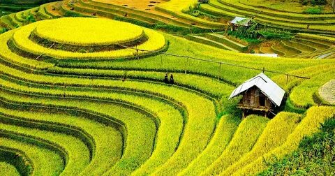 Bùi Tiến Dũng kiên cường, Đà Nẵng đánh bại Quảng Nam